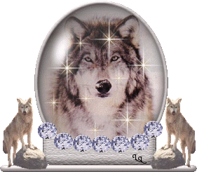 Wolf Globe